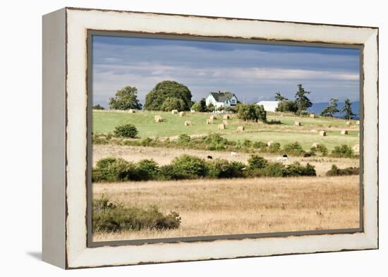 Hay Rolls I-Dana Styber-Framed Premier Image Canvas