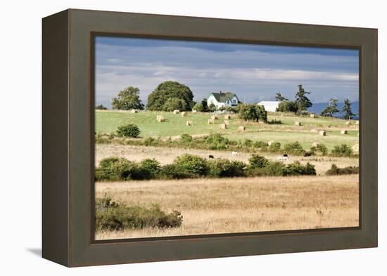 Hay Rolls I-Dana Styber-Framed Premier Image Canvas