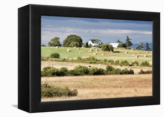 Hay Rolls I-Dana Styber-Framed Premier Image Canvas