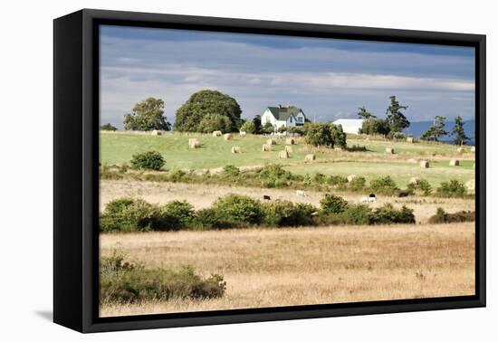 Hay Rolls I-Dana Styber-Framed Premier Image Canvas