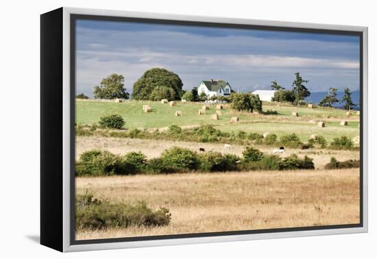 Hay Rolls I-Dana Styber-Framed Premier Image Canvas