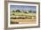 Hay Rolls I-Dana Styber-Framed Photographic Print