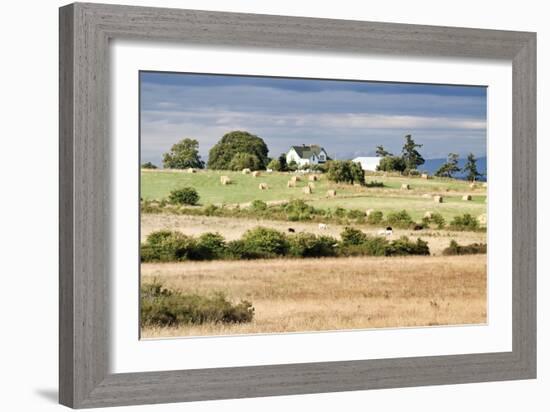 Hay Rolls I-Dana Styber-Framed Photographic Print