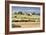 Hay Rolls I-Dana Styber-Framed Photographic Print