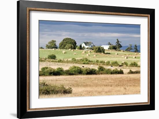 Hay Rolls I-Dana Styber-Framed Photographic Print