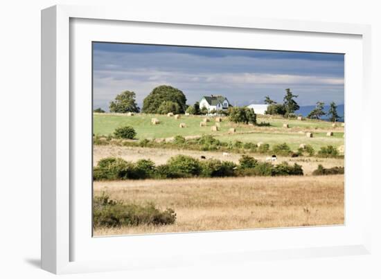 Hay Rolls I-Dana Styber-Framed Photographic Print