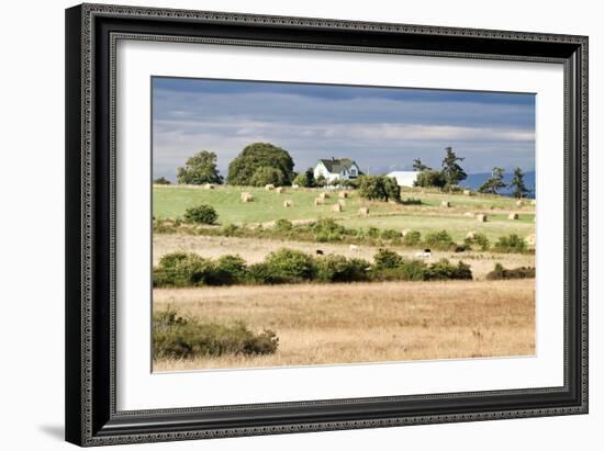 Hay Rolls I-Dana Styber-Framed Photographic Print