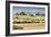 Hay Rolls I-Dana Styber-Framed Photographic Print