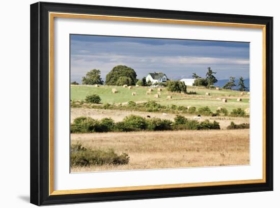 Hay Rolls I-Dana Styber-Framed Photographic Print