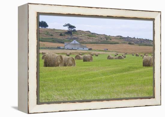 Hay Rolls II-Dana Styber-Framed Premier Image Canvas
