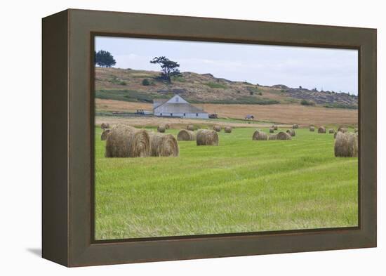 Hay Rolls II-Dana Styber-Framed Premier Image Canvas