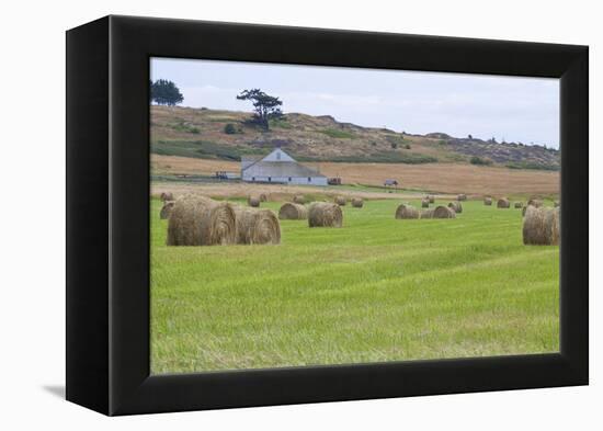 Hay Rolls II-Dana Styber-Framed Premier Image Canvas