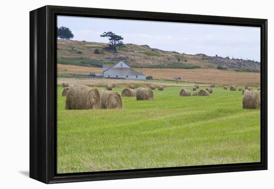 Hay Rolls II-Dana Styber-Framed Premier Image Canvas