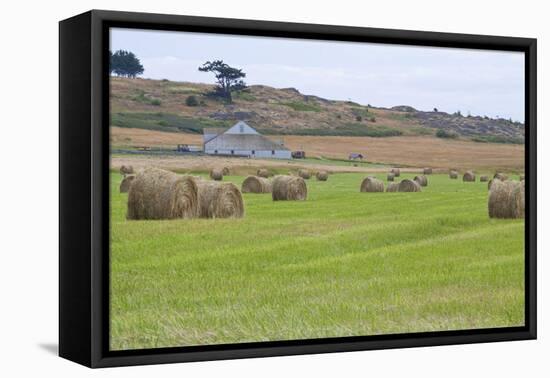 Hay Rolls II-Dana Styber-Framed Premier Image Canvas