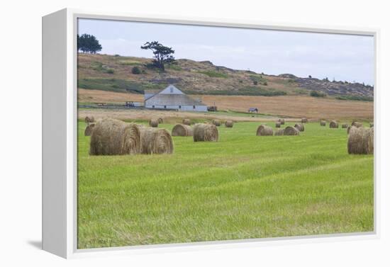 Hay Rolls II-Dana Styber-Framed Premier Image Canvas