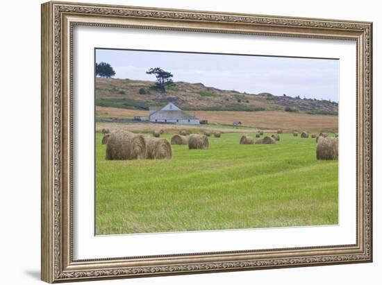 Hay Rolls II-Dana Styber-Framed Photographic Print