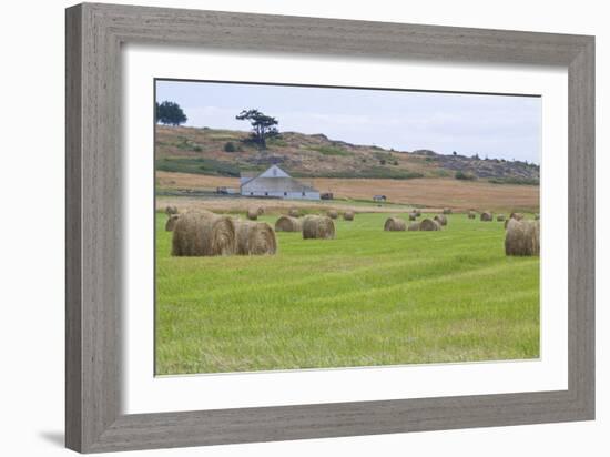 Hay Rolls II-Dana Styber-Framed Photographic Print