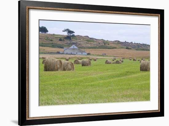 Hay Rolls II-Dana Styber-Framed Photographic Print