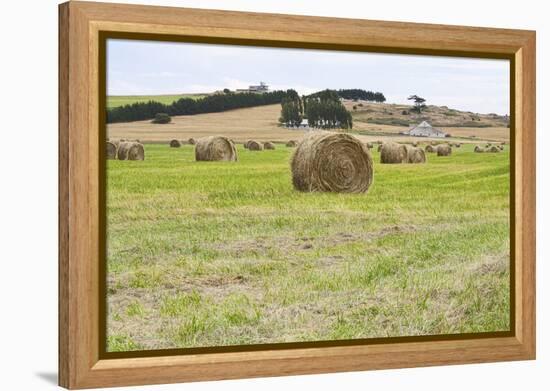 Hay Rolls III-Dana Styber-Framed Premier Image Canvas