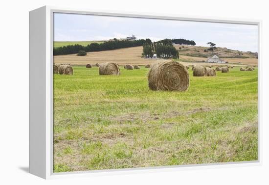 Hay Rolls III-Dana Styber-Framed Premier Image Canvas