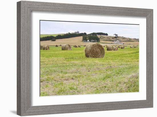 Hay Rolls III-Dana Styber-Framed Photographic Print