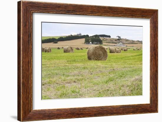 Hay Rolls III-Dana Styber-Framed Photographic Print