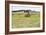 Hay Rolls III-Dana Styber-Framed Photographic Print