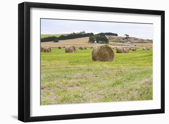 Hay Rolls III-Dana Styber-Framed Photographic Print