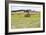 Hay Rolls III-Dana Styber-Framed Photographic Print