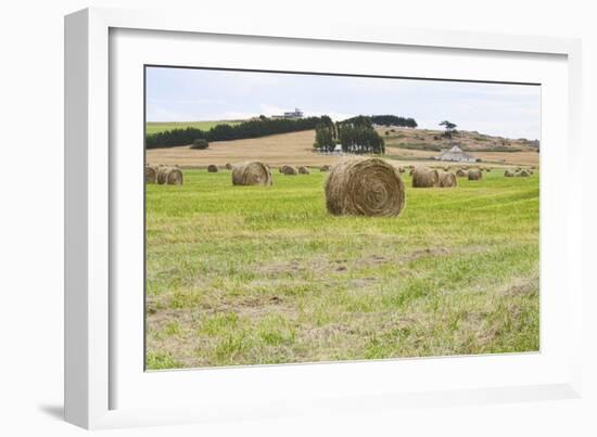 Hay Rolls III-Dana Styber-Framed Photographic Print