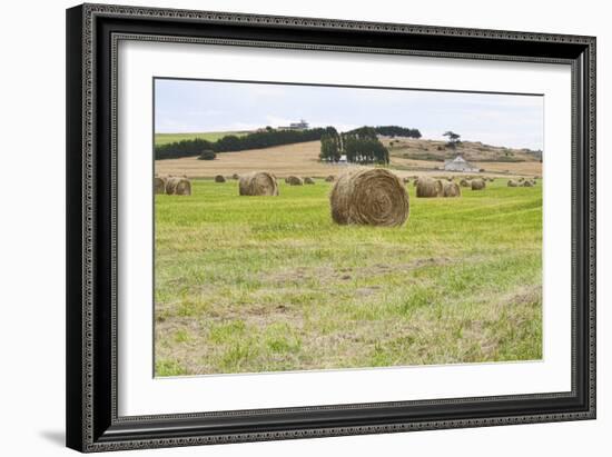 Hay Rolls III-Dana Styber-Framed Photographic Print