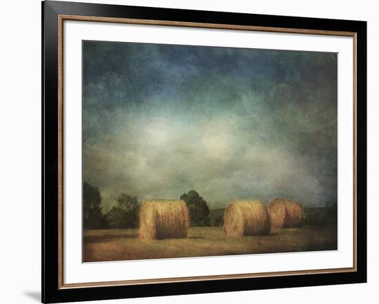 Hay Rolls-Dawne Polis-Framed Art Print