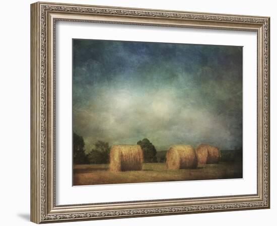 Hay Rolls-Dawne Polis-Framed Art Print