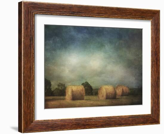 Hay Rolls-Dawne Polis-Framed Art Print