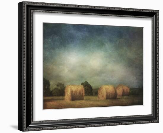 Hay Rolls-Dawne Polis-Framed Art Print