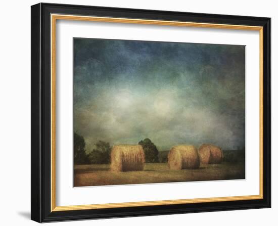 Hay Rolls-Dawne Polis-Framed Art Print