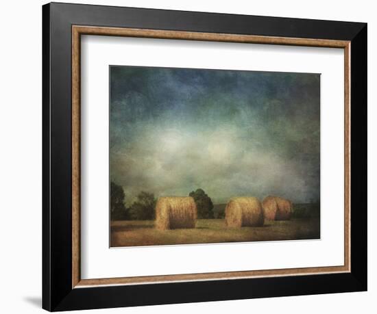 Hay Rolls-Dawne Polis-Framed Art Print