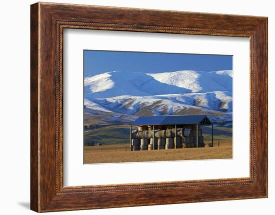 Hay Shed and Hawkdun Range, Maniototo, Central Otago, South Island, New Zealand-David Wall-Framed Photographic Print