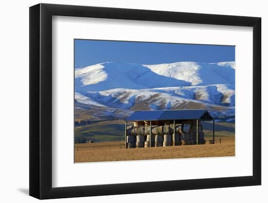 Hay Shed and Hawkdun Range, Maniototo, Central Otago, South Island, New Zealand-David Wall-Framed Photographic Print