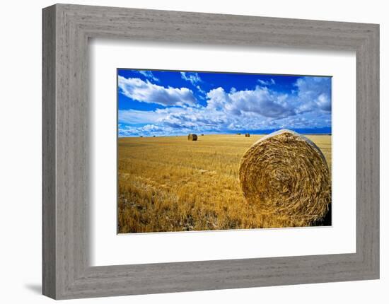 Hay & Sky-Jason Savage-Framed Art Print