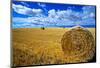 Hay & Sky-Jason Savage-Mounted Art Print