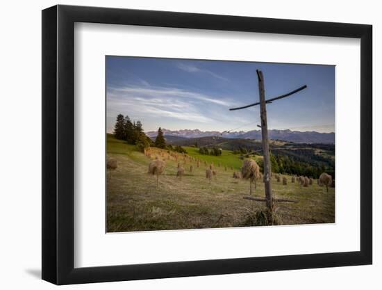 Hay stooks in foothills of Carpathian Mountains on outskirts of Bukowina Tatrzanska village, Southe-Jeremy Bright-Framed Photographic Print