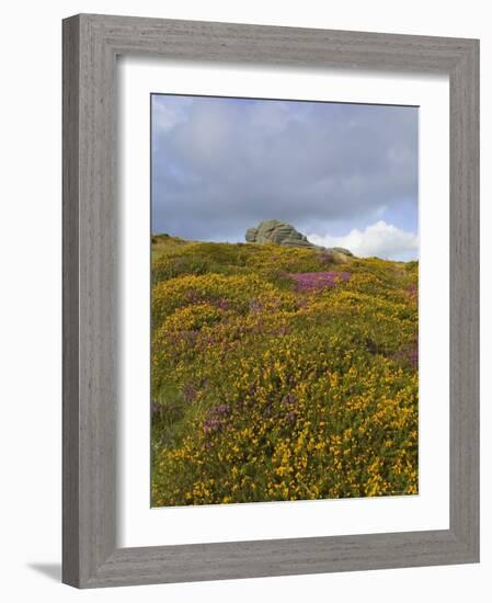 Hay Tor Rocks and Wild Flowers, Dartmoor, Devon, England, United Kingdom-David Hughes-Framed Photographic Print