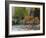 Hay Wagon with Ancient Tools, Caravanserai, Turkey-Joe Restuccia III-Framed Photographic Print