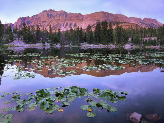 Hayden Peak Reflection Into Erfly Lake Uinta Range Utah Photographic Print By Tim Fitzharris Art Hayden Peak Reflection Into Erfly Lake Uinta Range Utah Photographic Print By Tim Fitzharris Art