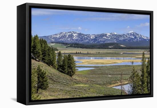 Hayden Valley (YNP)-Galloimages Online-Framed Premier Image Canvas