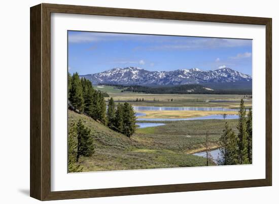 Hayden Valley (YNP)-Galloimages Online-Framed Photographic Print