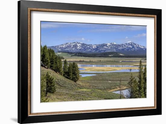 Hayden Valley (YNP)-Galloimages Online-Framed Photographic Print