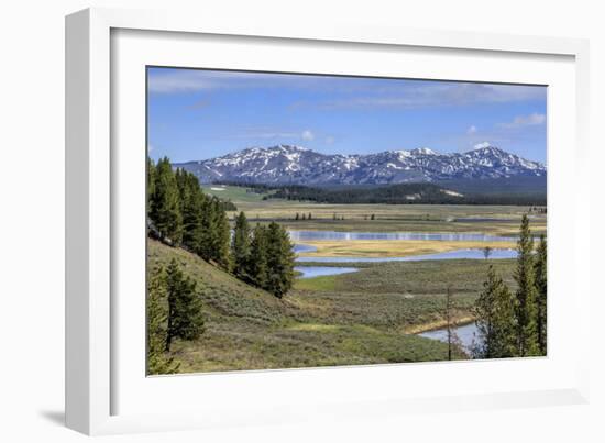 Hayden Valley (YNP)-Galloimages Online-Framed Photographic Print