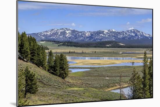 Hayden Valley (YNP)-Galloimages Online-Mounted Photographic Print